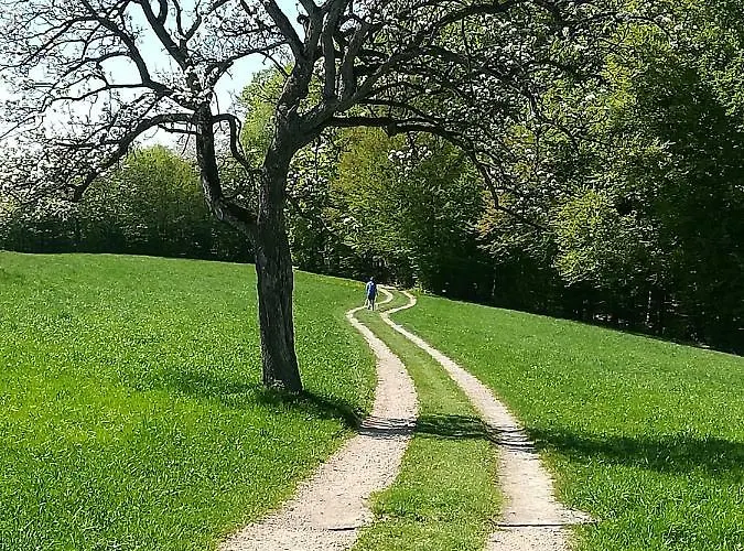 דירה Haus Mitterfeld קסטן ביי בוהימקירשן